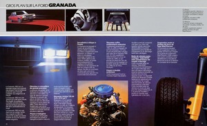 1982 Ford Granada (Cdn-Fr)-14-15.jpg